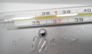 ��� ������, ���� �������� ������� ���������