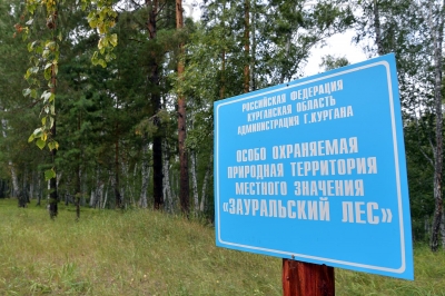 � ���������� ����� ���� ���������� ������