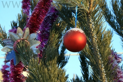 ���������� ��� ������������ � ������ ����