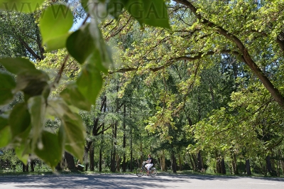 �� ���������� ������������� ���� ��������� ������������� �����