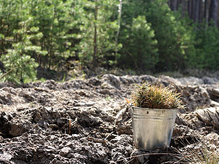 ������������� ���� ������� ����