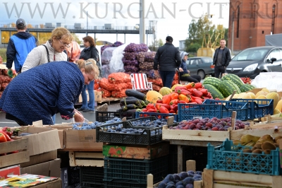 � �������� ���