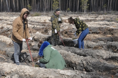 � ������� ���������  ������������� ���� ������� ����