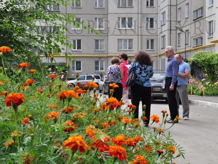 �������� ����� � ������ ���� � 2016�: ��� ������ �����������?