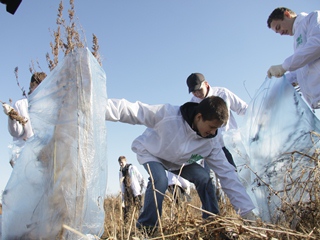 ������ �� ����������� ��������������� �������� ������� � ���������������� ��������������