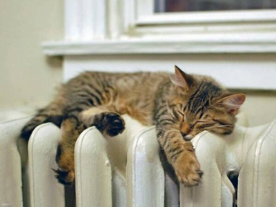 � ���� ������