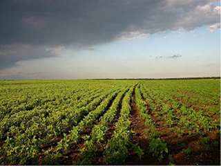 ���������������� �� �������