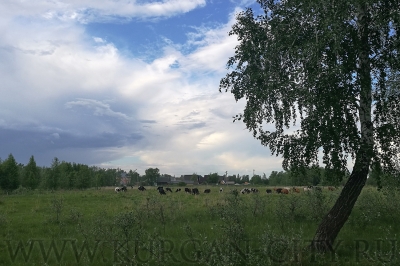 �������������� ��������