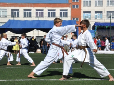 ������� ���������� � 2016�