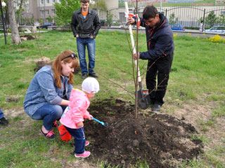 � ������������� ���� ����� � ������� �������� ������� �����