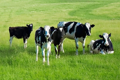 �������� ������� � ���������� ���������������� ������ ��������� ��������!