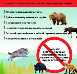 ������� ��� ������� � ������ ���������