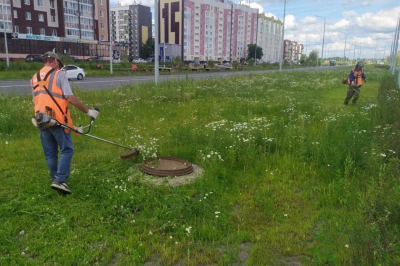 ����� ����� ��� ������. �������� ������ ������� �������� �������������