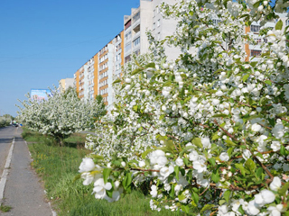 ����� ����������: ���� ������ - ������� ���� �������� ��������� �����, ���������� � ��������������