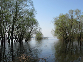 ��������� �������: ����� �� ������� ������� ���� ������ ���� �����������