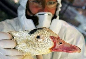 �������� ���������� ������ ��������� ��������!