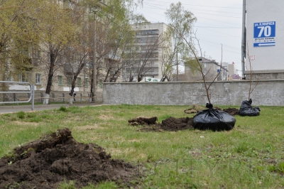 ����� ������ ������� ������ �������: ������ �� ���������� ������ ����� ����������