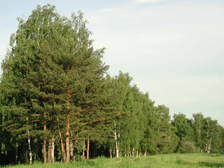 ������ � ��������������� ��������� ����� � �� �������� ���������