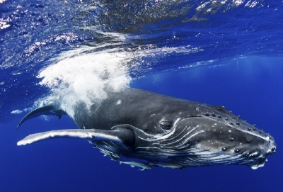 �� ������������ ���������� 