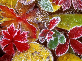 ��������! �������� ��������� 