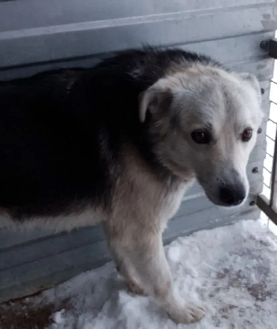 ������ ����