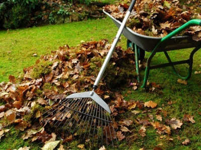 ������������ ������������� ������ ������ �������: �������������� ������ � ���������� ��������� �� ���������� ������� ������ � ���������� ���������� ���������� ����� � ����