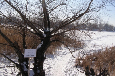 �������� � ������ �� ���� ��������!�. ������ ���������� �������� ���������� ����� ������������ 