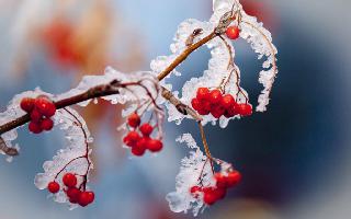 ����� ����������