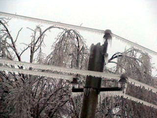 ������ ���������