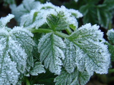  ��������� ���������!