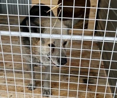 ��� ��� ����������. ������������� ����� ��� ��������� �������� ������ ������� ������������� ����������