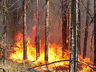 ��������� ������� ���������������� ������ �� ���������� ������ ����� ���������������� ���������