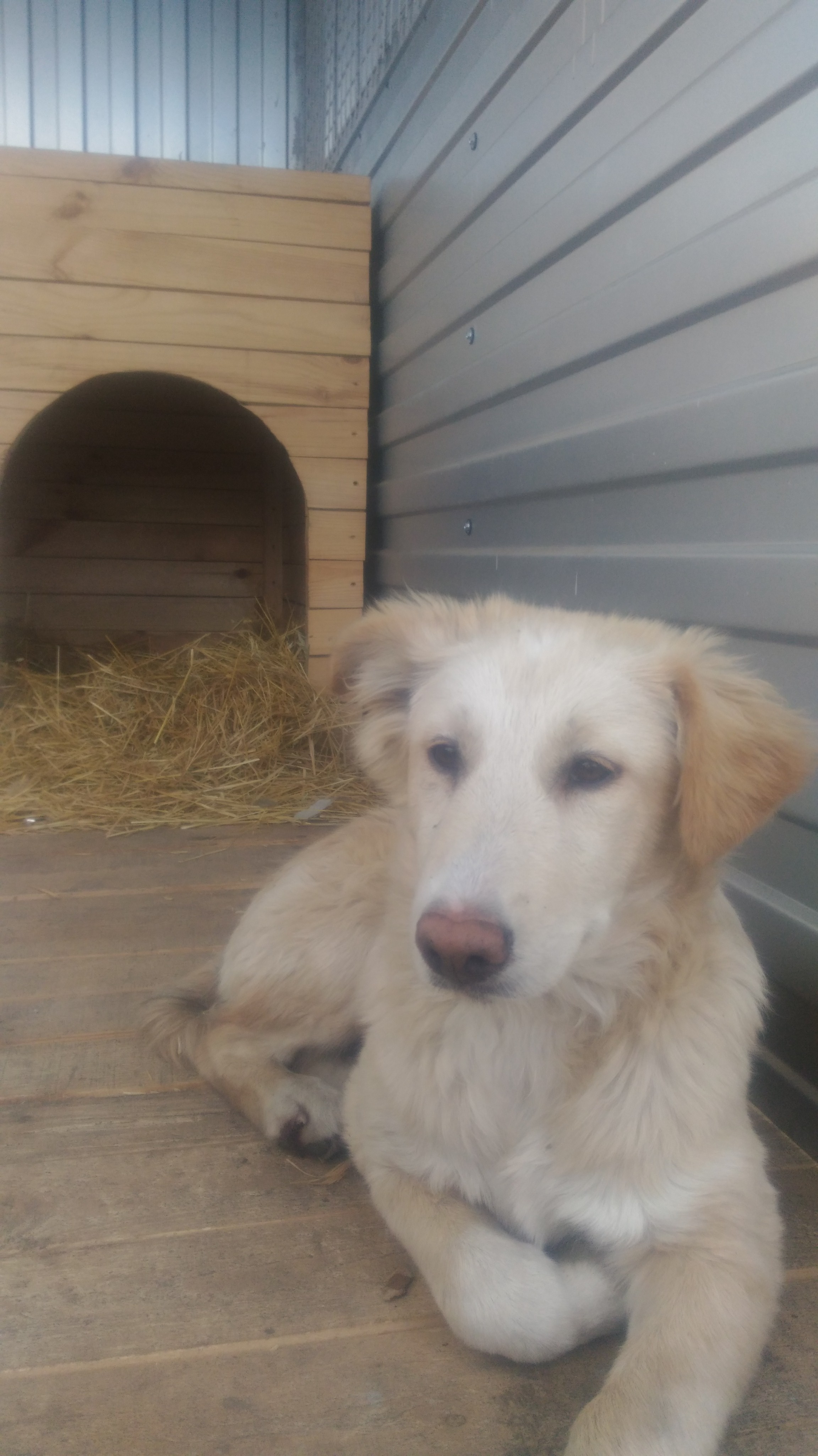 ������ �����