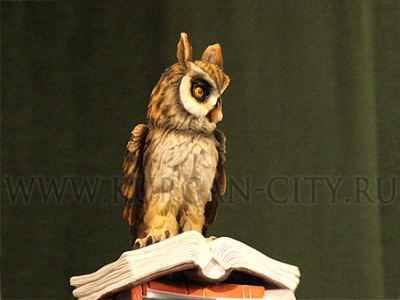 ���������� �������� ������� � ���