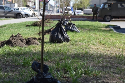 � ��������� ��������� ����� ��������� �����