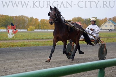 ���������� �������� ������ ��������� ������� �����