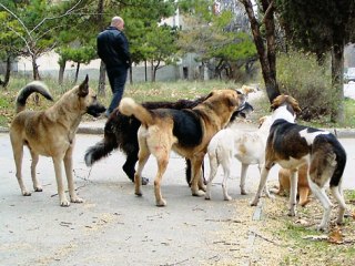 � ������� ��������� ����� ������� ������ ������������ ��������