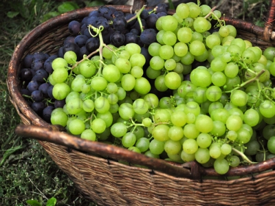 ���������� ����������� ���������� ��������� ����������