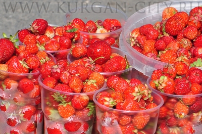 � ���� ������ � ������� ������� �������� ���