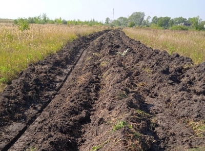 � ������ ������������ ��������������� �����������