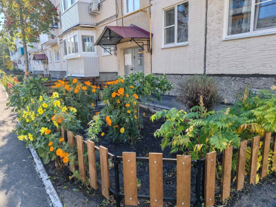 ���� ����������� � �������. � ������� ������������ �������