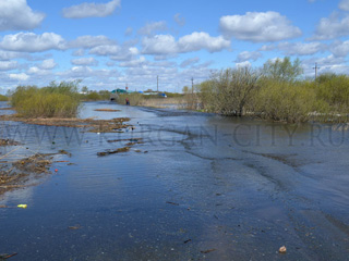 ����� ���������� ���������� � �������