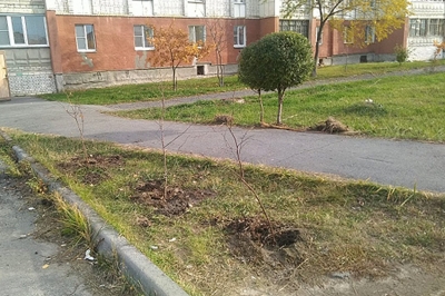 � ������� ������������ ������� ��������