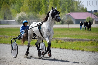 ������������ ������������� ������ ������� ������ ������� ��������� ��������� ������� ������ � ��������� XXII �������� ������