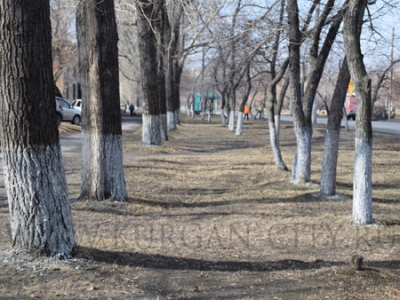 � ������� �������� �������� ����������� ������ 