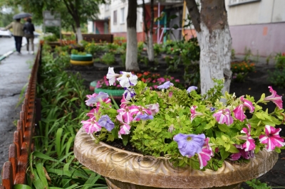 � ���� �������� ��� - ���������� ������ ��������������� 