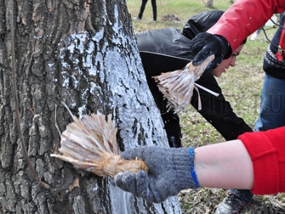 �������� ���������� ������� ������ ���������