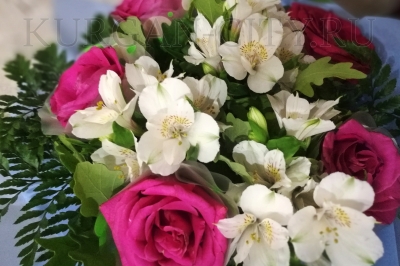 � ����������, ����� �������! ����� ����������� � 8 �����