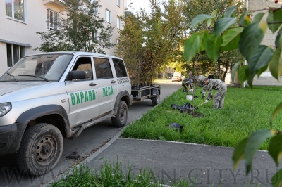 � ������� ����� �� ����� �. �������� ������������