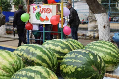 ������� ��������. � ���������� ����� ��������� ���� ������